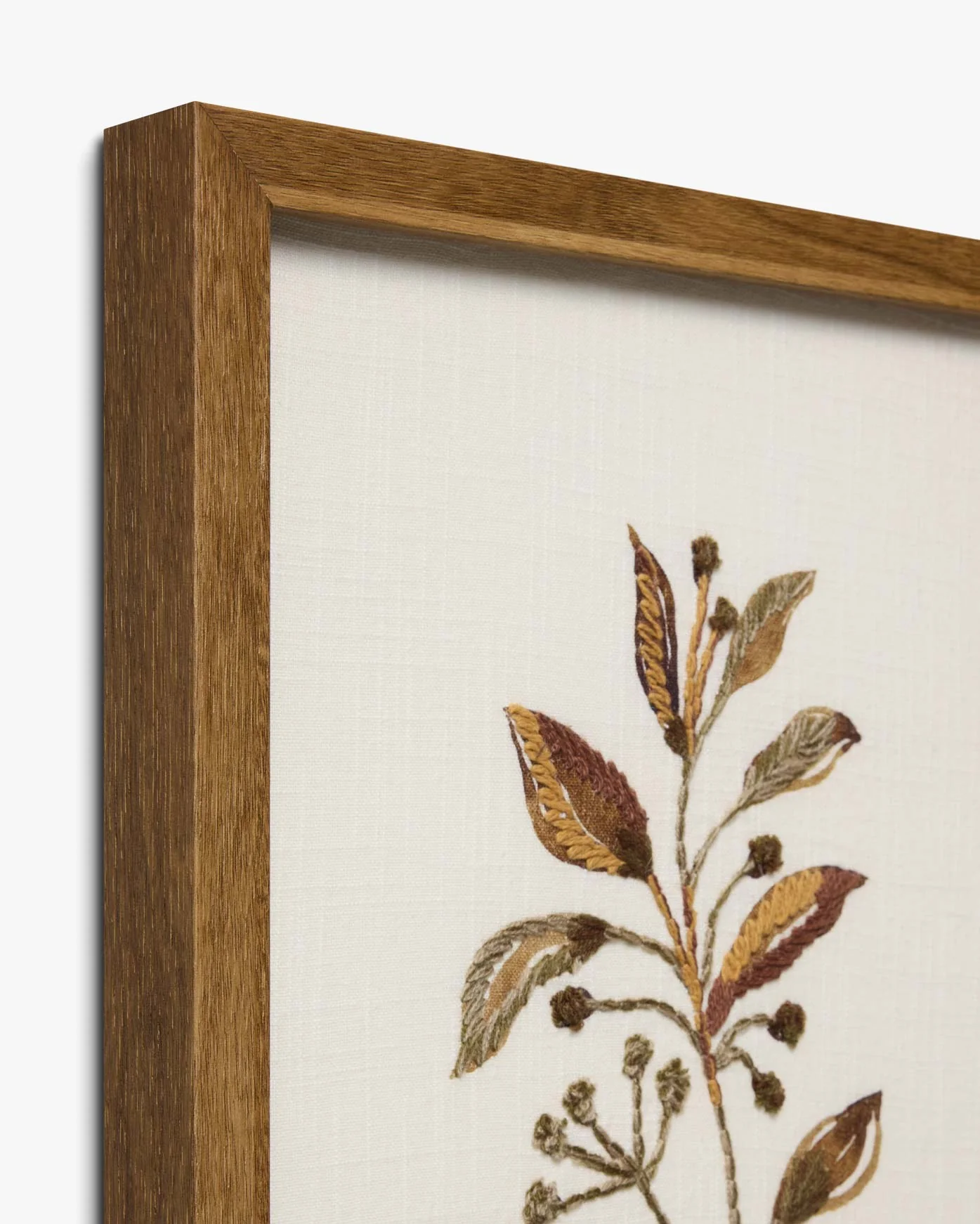 ACER - Image 2