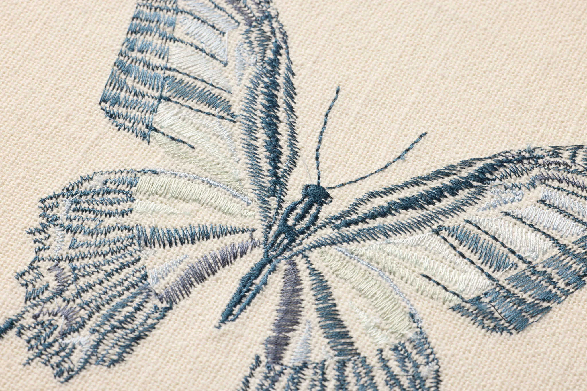 BUTTERFLY BLUE - Image 3