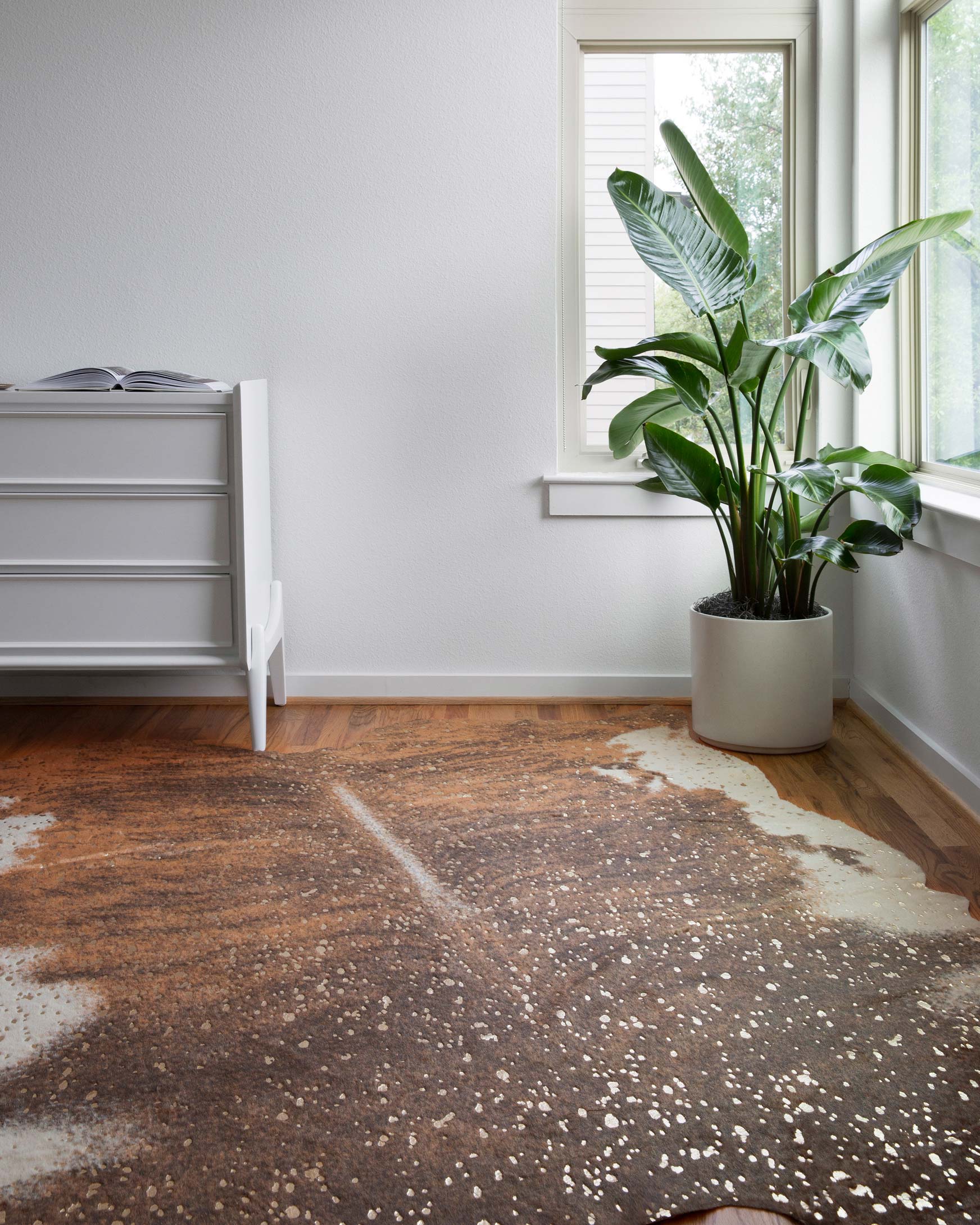 BZ-10 WALNUT / CHAMPAGNE - Image 4