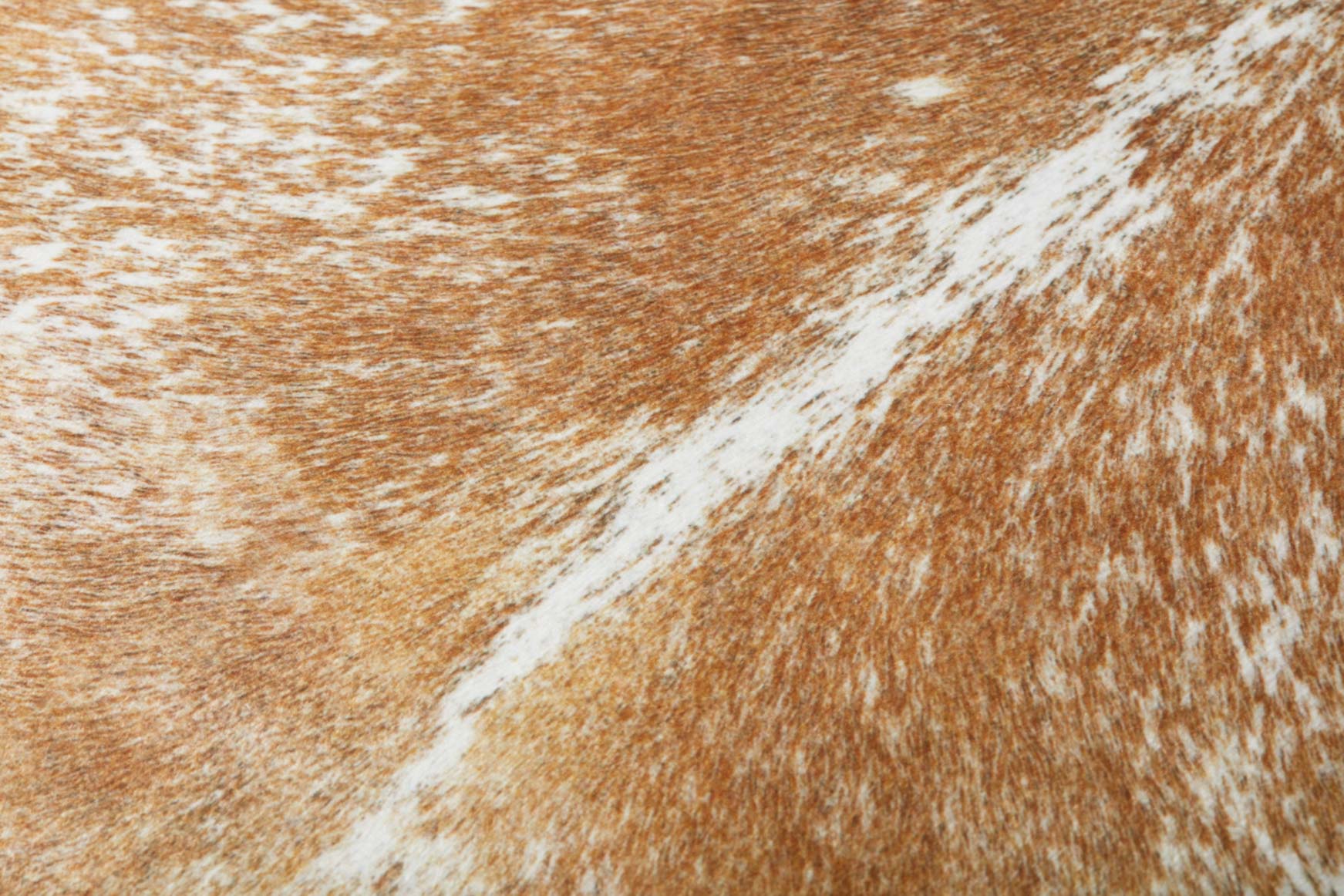 FP0002 BEIGE / WHITE - Image 3
