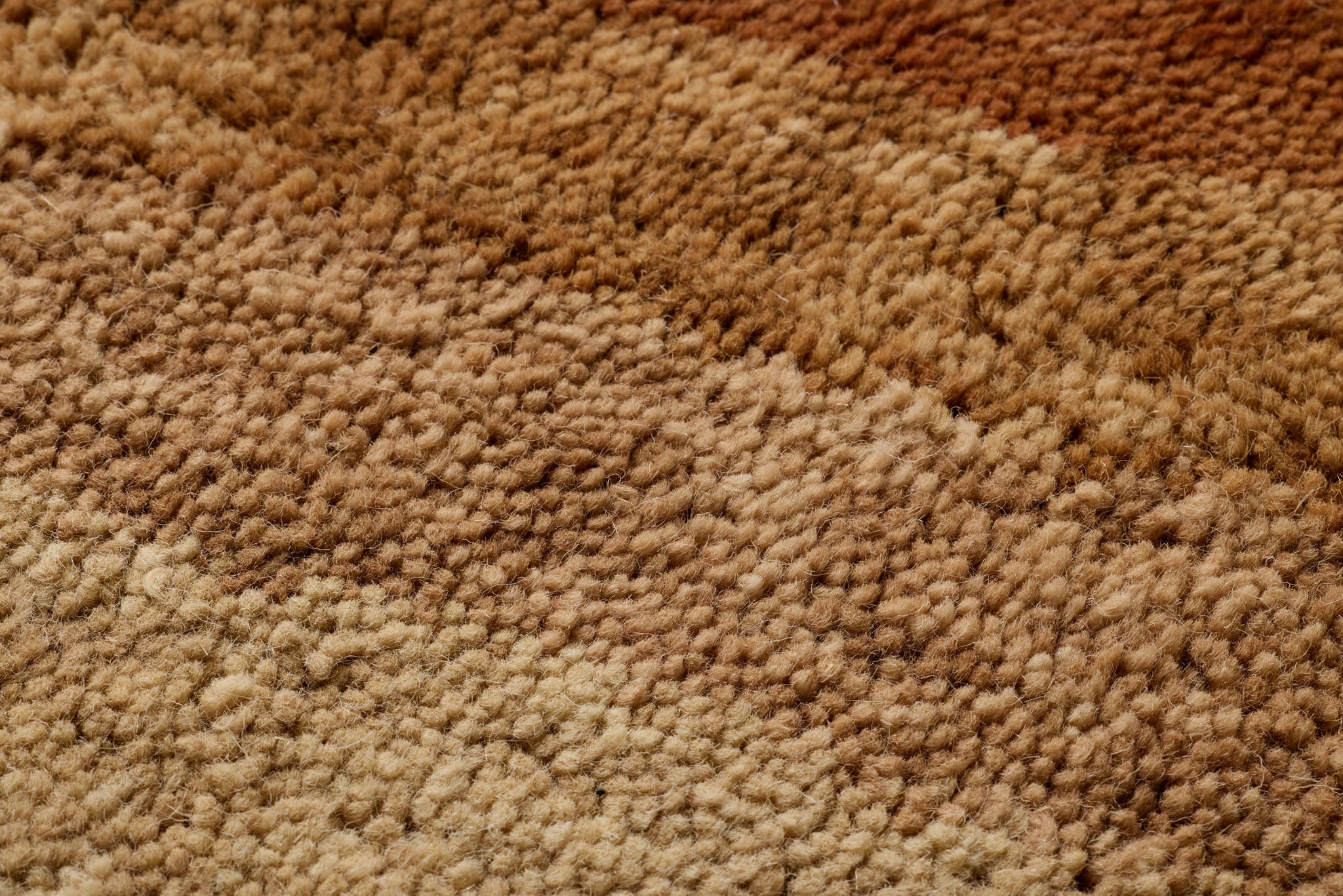 INDIO - Image 3