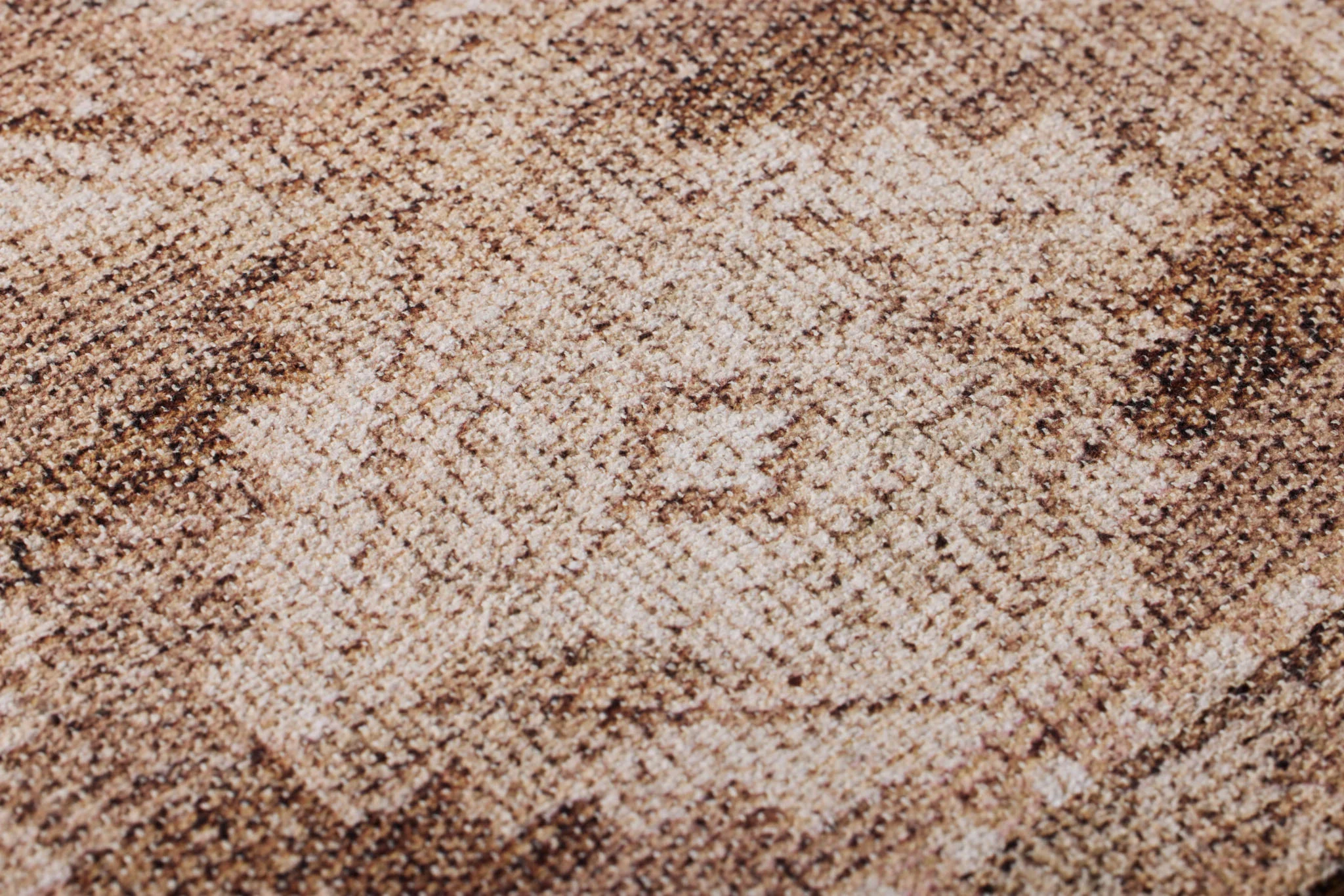 LEONADO - Image 3