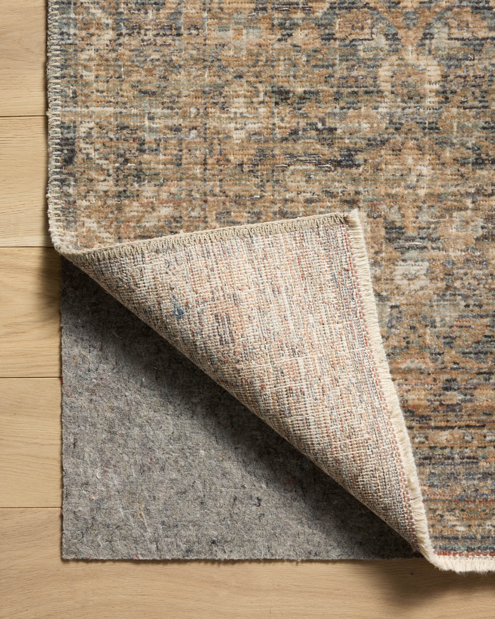 MOL-02 DENIM / GOLD - Image 8