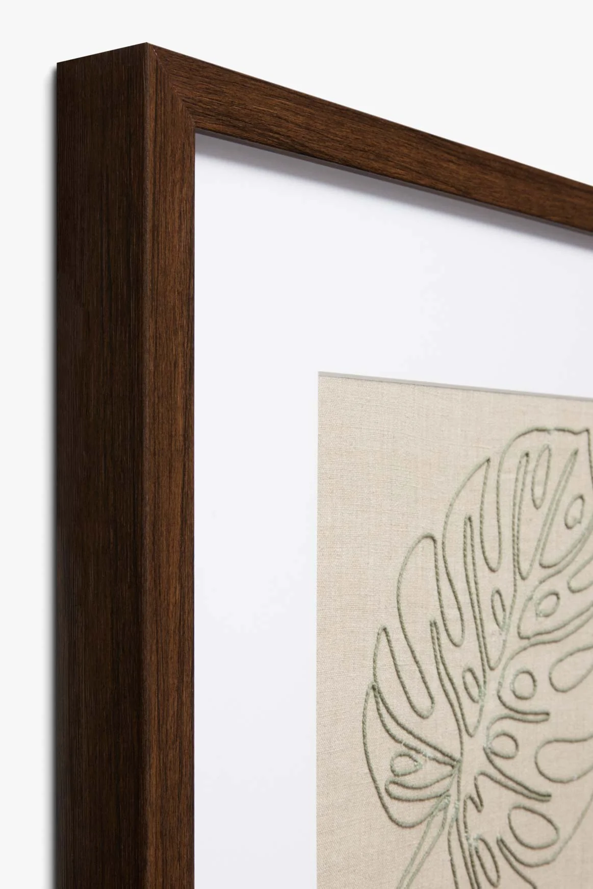 MONSTERA - Image 3
