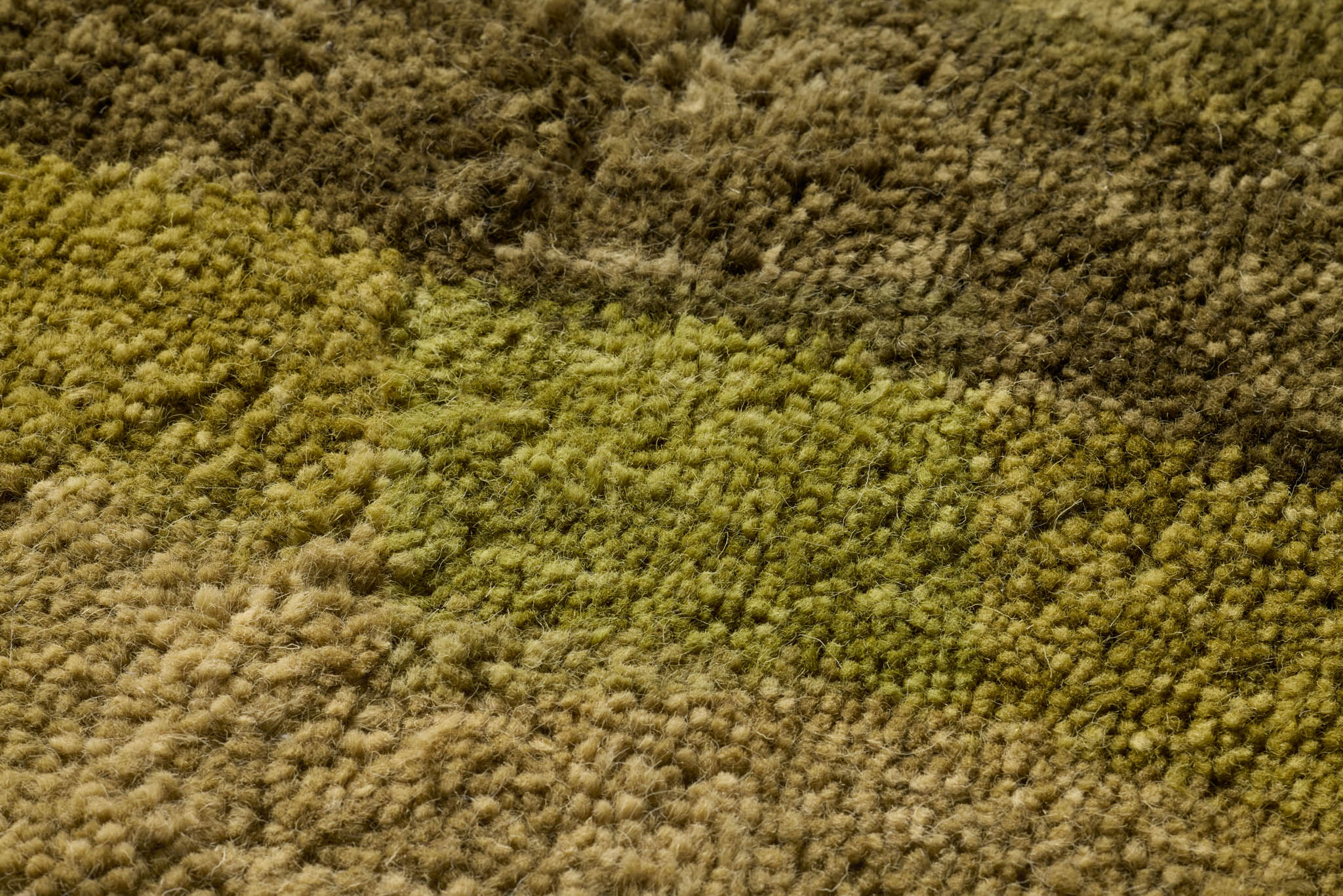 PACIFICO - Image 3