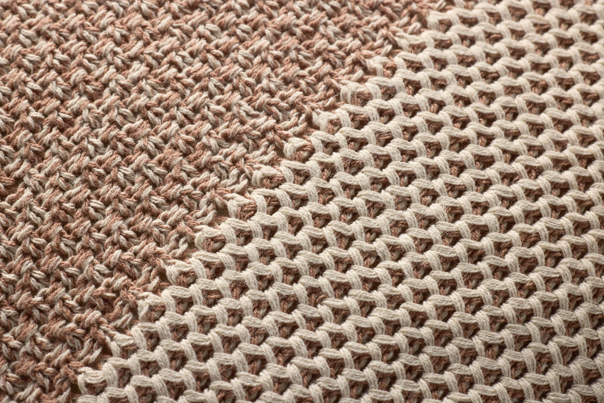 PLL0170 IVORY / SPICE - Image 3