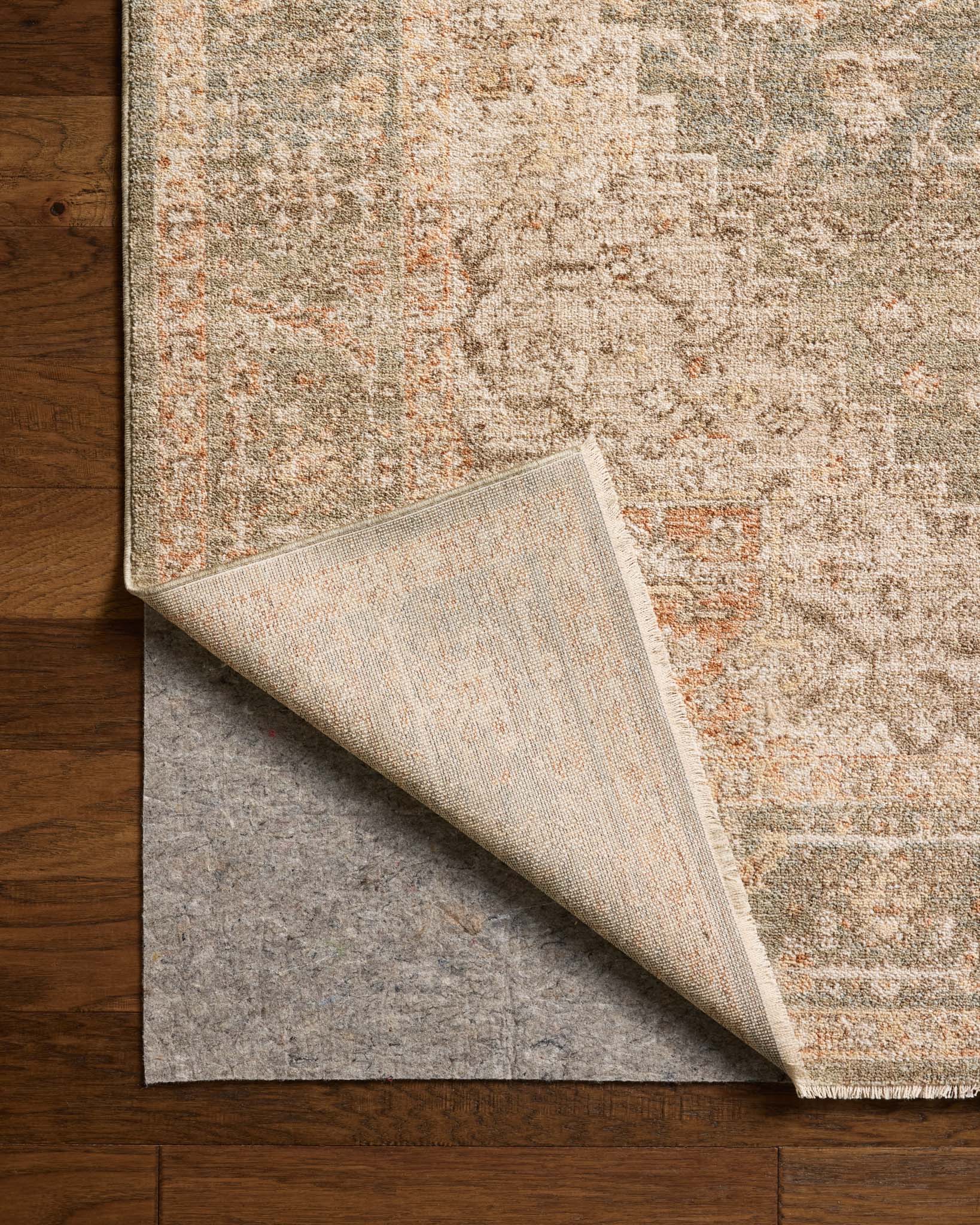 PLM-08 OLIVE / SPICE - Image 6