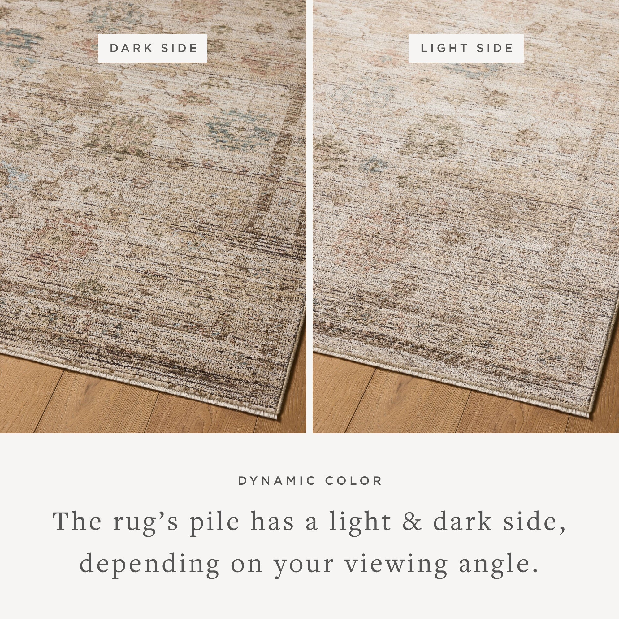 PRL-06 IVORY / MULTI - Image 4