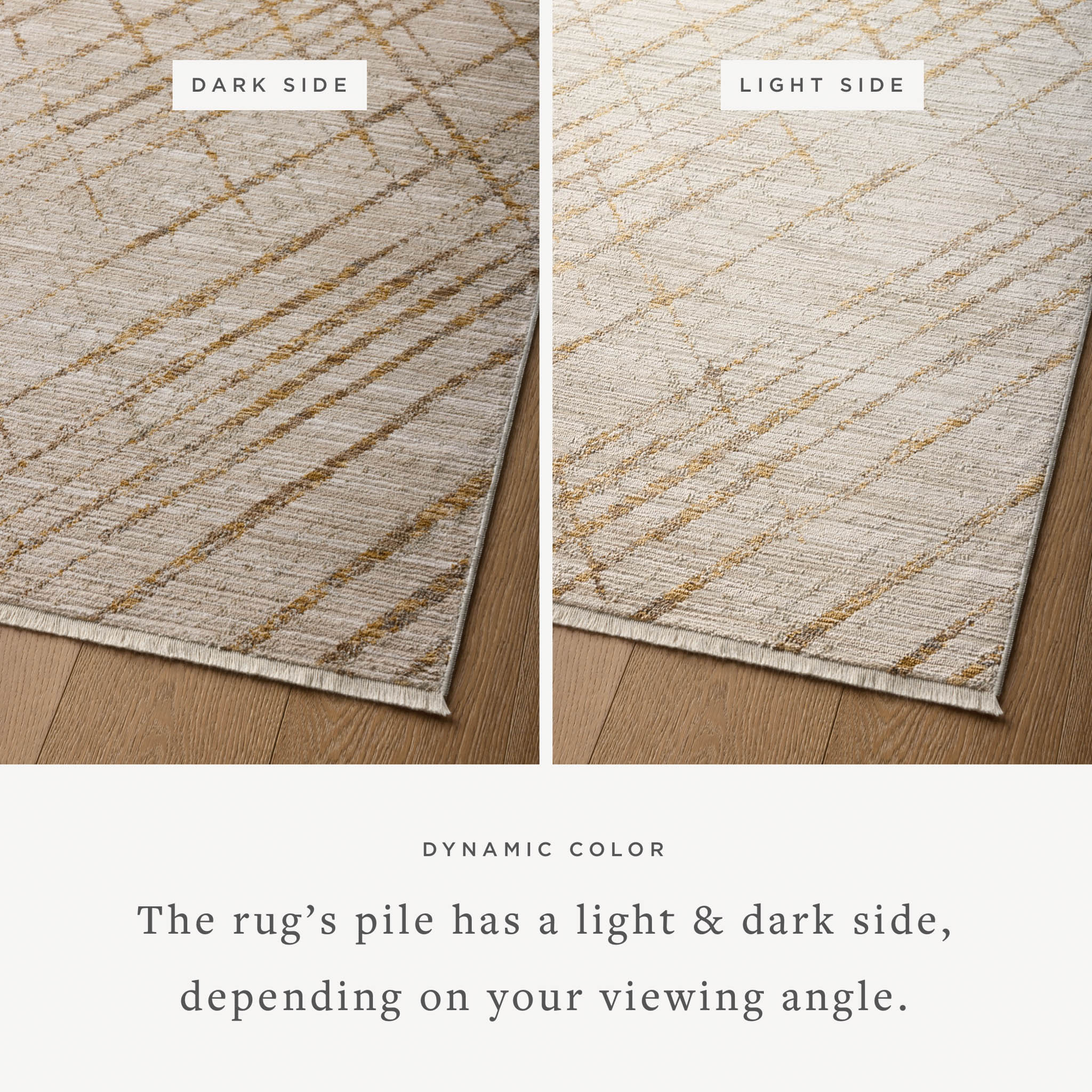 WAE-04 BEIGE / GOLD - Image 3