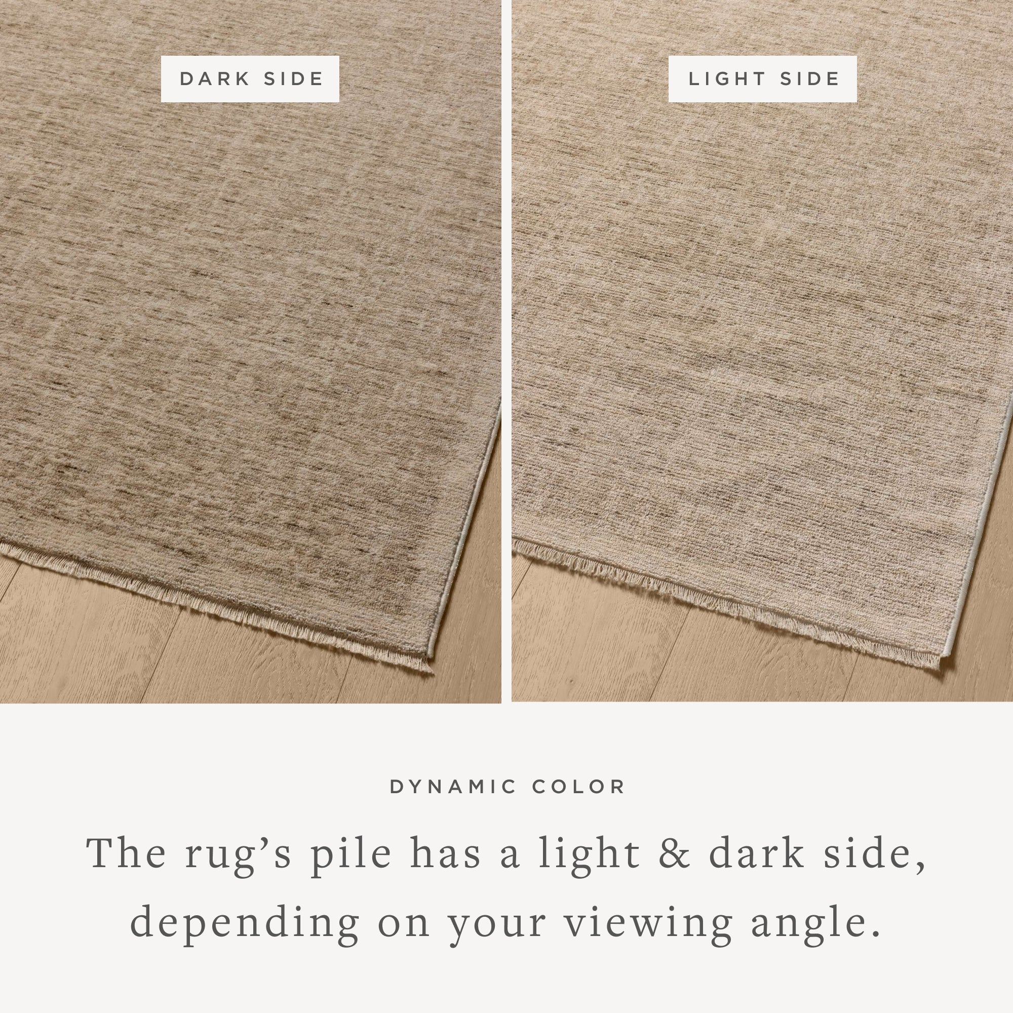 WIT-01 TAUPE / BONE - Image 3